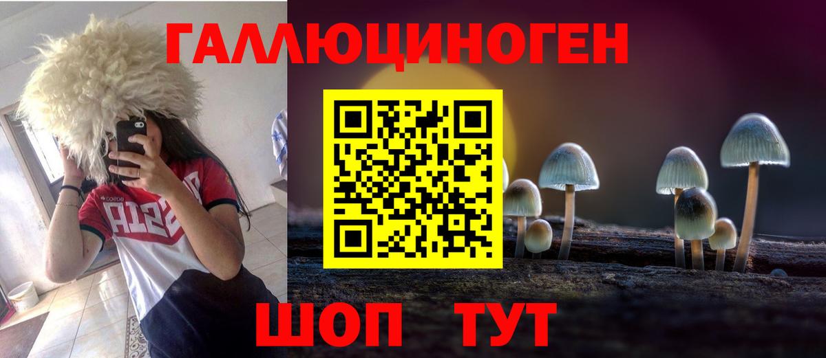 Псилоцибиновые грибы мицелий  Вход с VPN  Ессентуки 