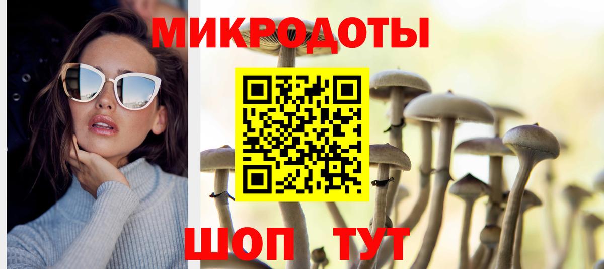 Псилоцибиновые грибы Magic Shrooms Ессентуки
